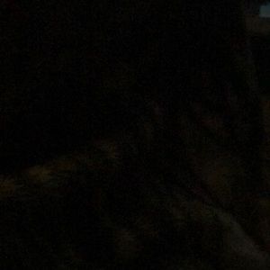 Meet your Posher, Joscela